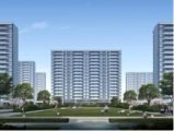 党建引领聚合力 勇毅担当做先锋